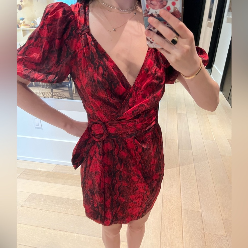 Ronny Kobo Dress